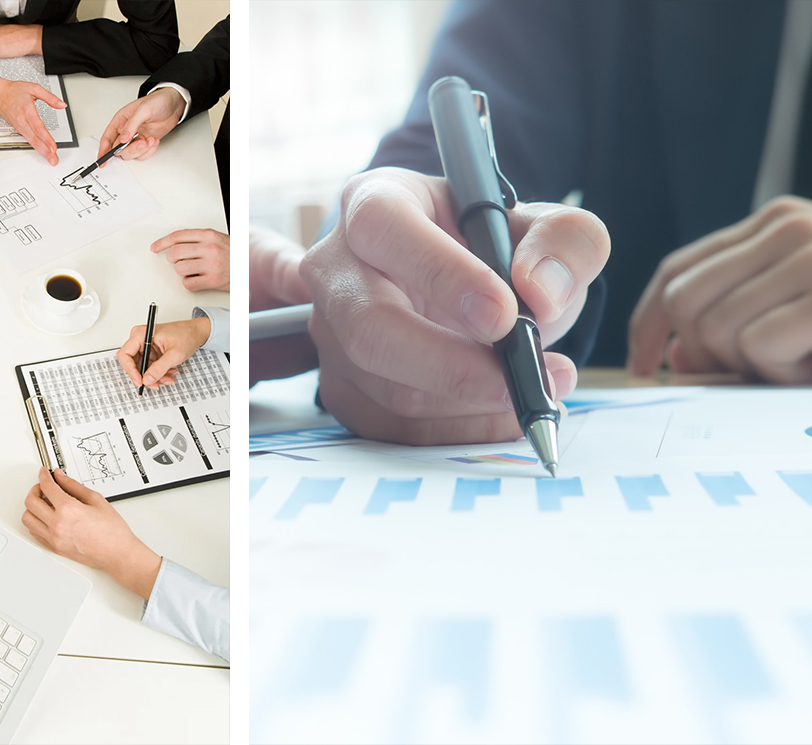 Stratejik İş ve Süreç Danışmanlığı